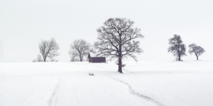 AAA cercasi osservatori volontari della neve